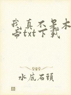 我真不是木匠皇帝txt下载