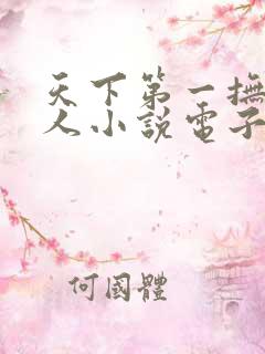 天下第一抚琴的人小说电子书