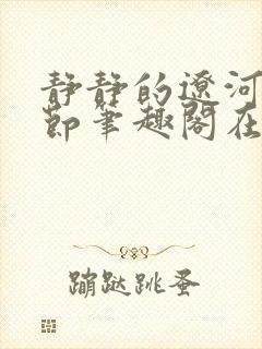 静静的辽河无删节笔趣阁在线阅读