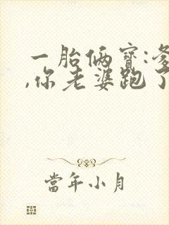 一胎俩宝:爹地,你老婆跑了