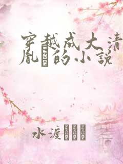 穿越成大清太子胤礽的小说