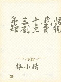 年三十,我悟了短剧免费观看