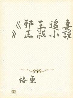 《邪王追妻苏洛》正版小说