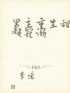 男主重生甜宠文超宠溺