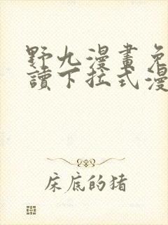 野九漫画免费阅读下拉式漫画