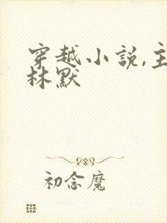 穿越小说,主角林默