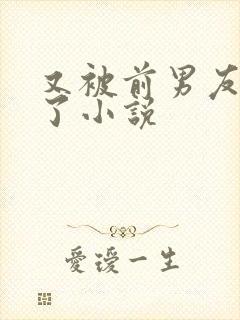 又被前男友盯上了小说