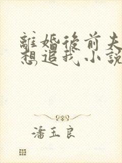 离婚后前夫总是想追我小说免费阅读全本