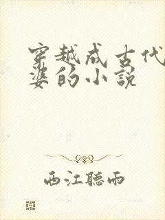 穿越成古代恶婆婆的小说