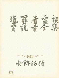 猎罪者电视剧免费观看全集在线播放