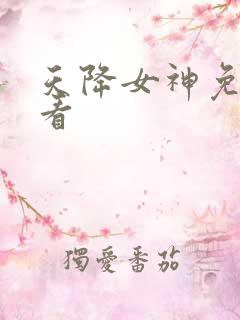 天降女神免费观看