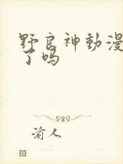 野良神动漫完结了吗