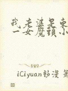 我老婆是东晋第一女魔头小说