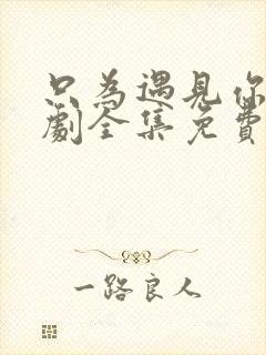 只为遇见你电视剧全集免费观看