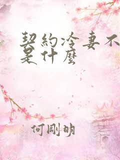 契约冷妻不好惹是什么