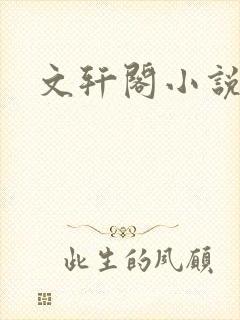 文轩阁小说网