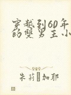 穿越到60年代的双男主小说