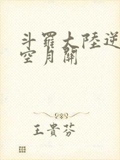 斗罗大陆逆转时空月关