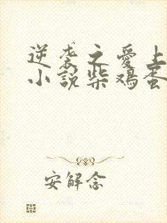 逆袭之爱上情敌小说柴鸡蛋免费阅读