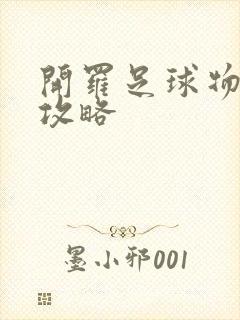 开罗足球物语2攻略