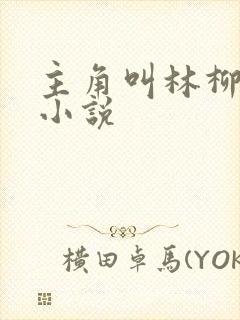 主角叫林柳儿的小说