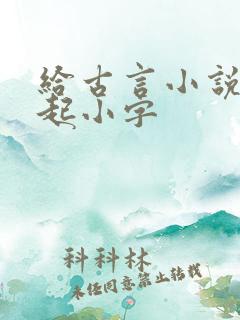 给古言小说女主起小字