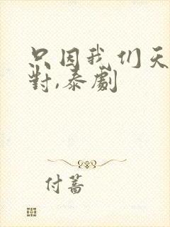 只因我们天生一对,泰剧