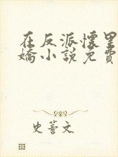 在反派怀里撒个娇小说免费阅读