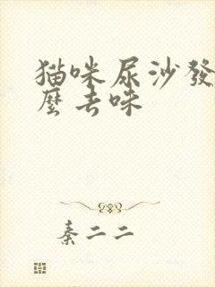 猫咪尿沙发上怎么去味