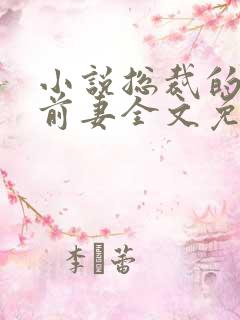 小说总裁的替身前妻全文免费阅读