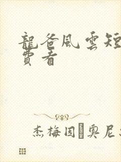 龙爸风云短剧免费看