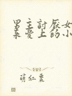 男主讨厌女主后来爱上的小说