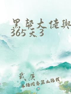 黑帮大佬与我的365天3