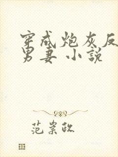 穿成炮灰反派的男妻 小说