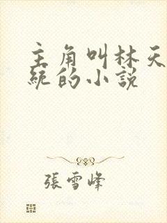 主角叫林天有系统的小说