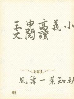 王申高义小说全文阅读