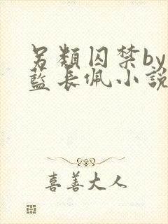 另类囚禁by又蓝长佩小说全文免费阅读