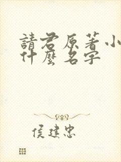 请君原著小说叫什么名字