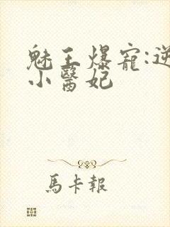 魅王爆宠:逆天小医妃