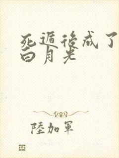 死遁后成了全员白月光