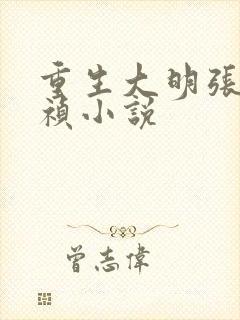 重生大明张凡崇祯小说