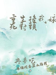 重生后我嫁渣男死对头