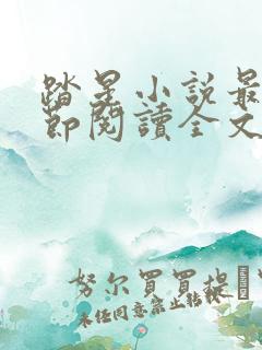 踏星小说最新章节阅读全文