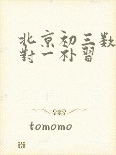 北京初三数学一对一补习