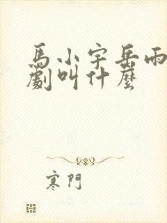 马小宇岳雨婷短剧叫什么