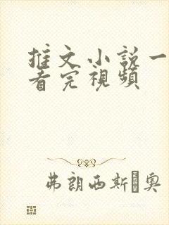 推文小说一口气看完视频