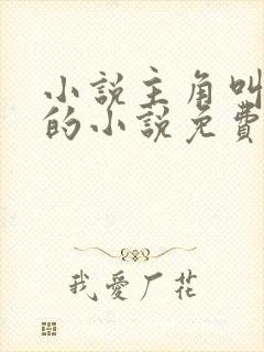 小说主角叫陈歌的小说免费