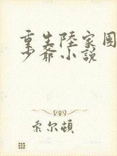 重生陆家团宠小少爷小说