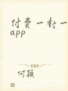 付费一对一聊天app