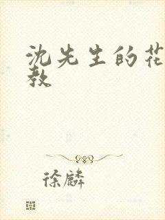 沈先生的花式调教